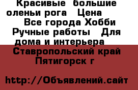 Красивые  большие оленьи рога › Цена ­ 3 000 - Все города Хобби. Ручные работы » Для дома и интерьера   . Ставропольский край,Пятигорск г.